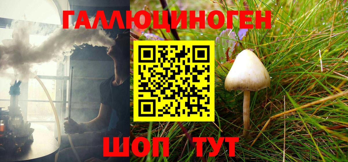 Галлюциногенные грибы Psilocybe Салават