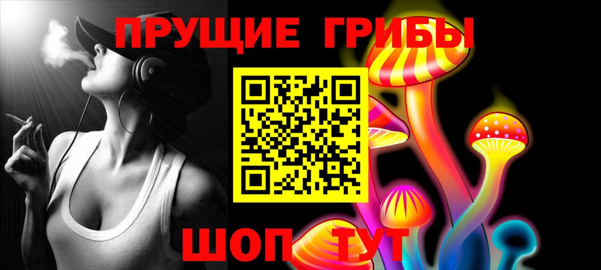 Псилоцибиновые грибы GOLDEN TEACHER  Вход с VPN  Псилоцибиновые грибы мухоморы  как найти закладки  Салават 